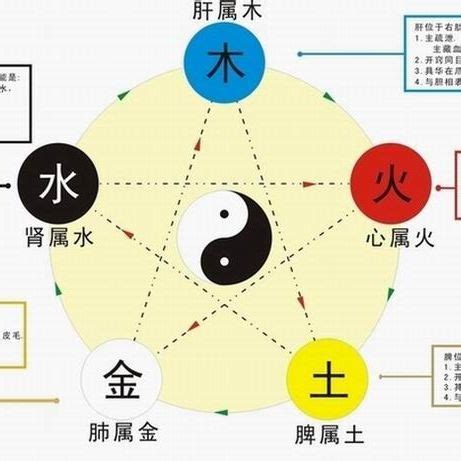 強金 強水|五行生剋(哲學理論):實質,特性,生克,劃分,物象歸類,相互關係,五行。